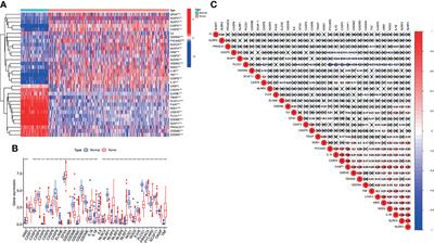 Derivation, Comprehensive Analysis, and Assay Validation of a Pyroptosis-Related lncRNA Prognostic Signature in Patients With Ovarian Cancer